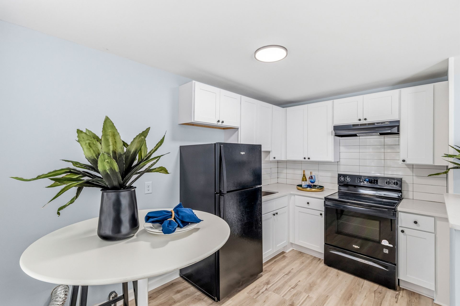 Newly Remodeled 1 Bedroom Apartment – photo 5