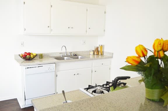 Country Club Apartments – photo 5