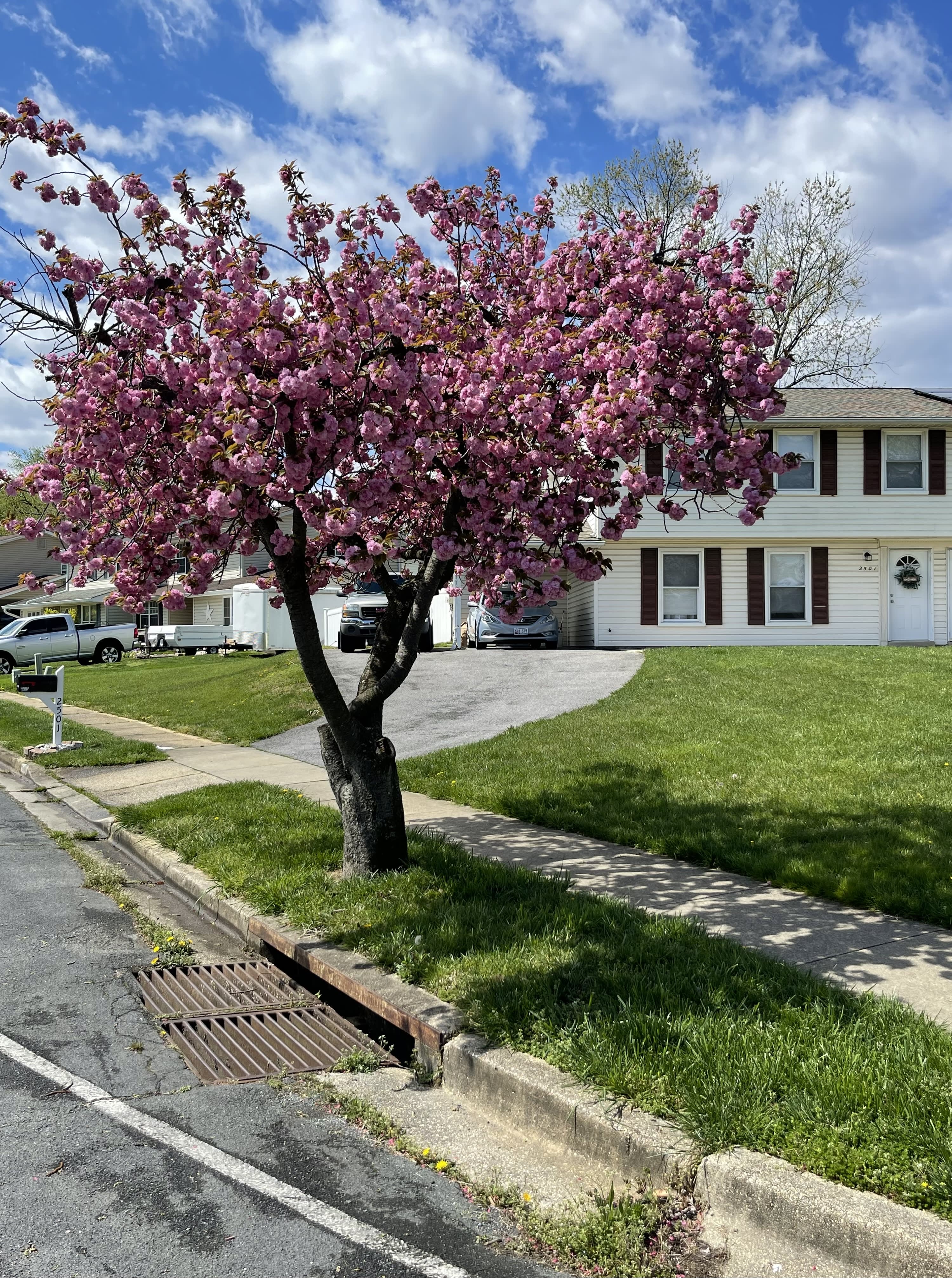 2501 Maytime Drive – photo 1