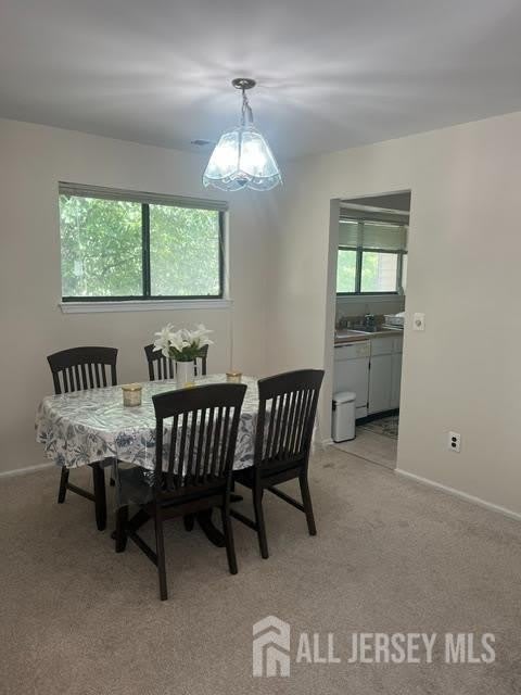 702 Jacob Court – photo 5