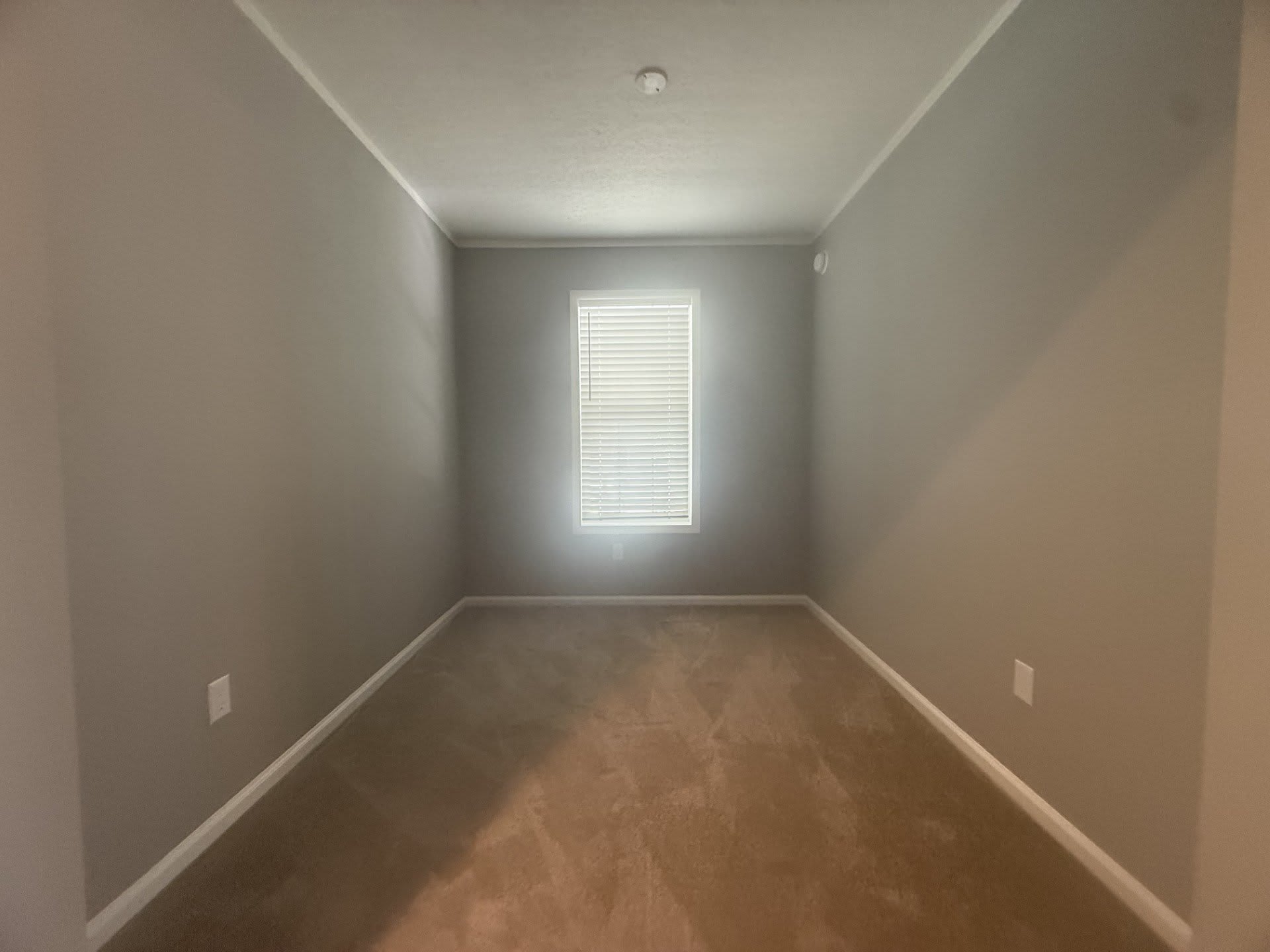 602 Choo Choo Ln – photo 5