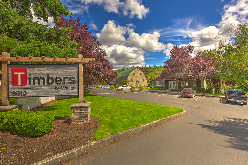 The Timbers by Vintage – photo 1