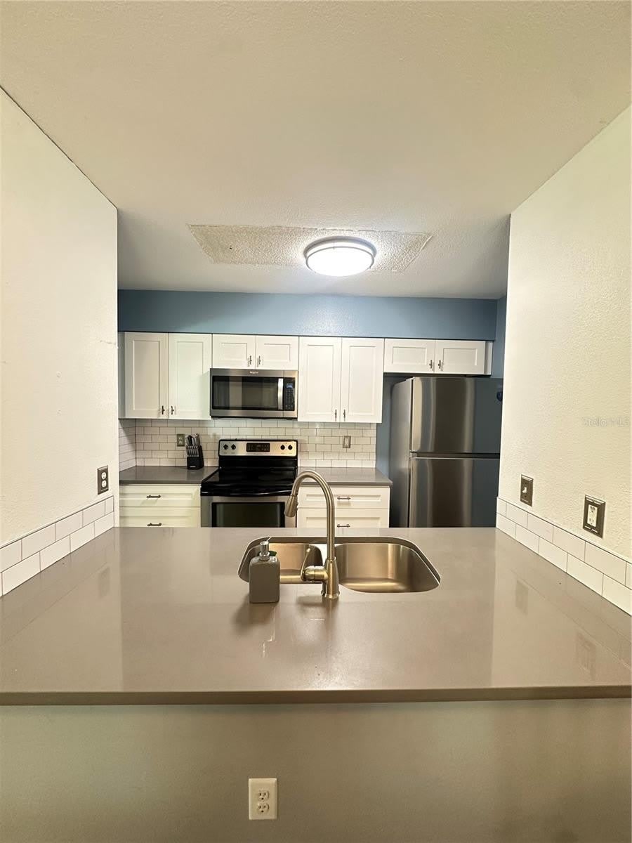 2235 FLUORSHIRE DR – photo 4
