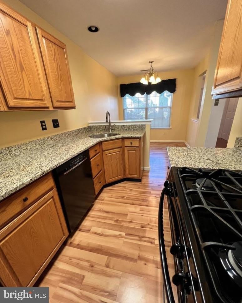 3303 Sterling Road – photo 4