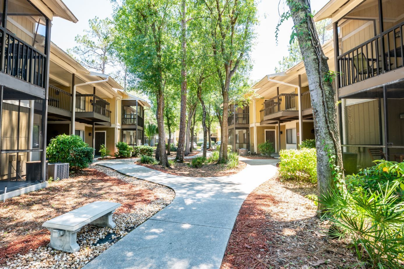 Tampa Northeast – photo 4