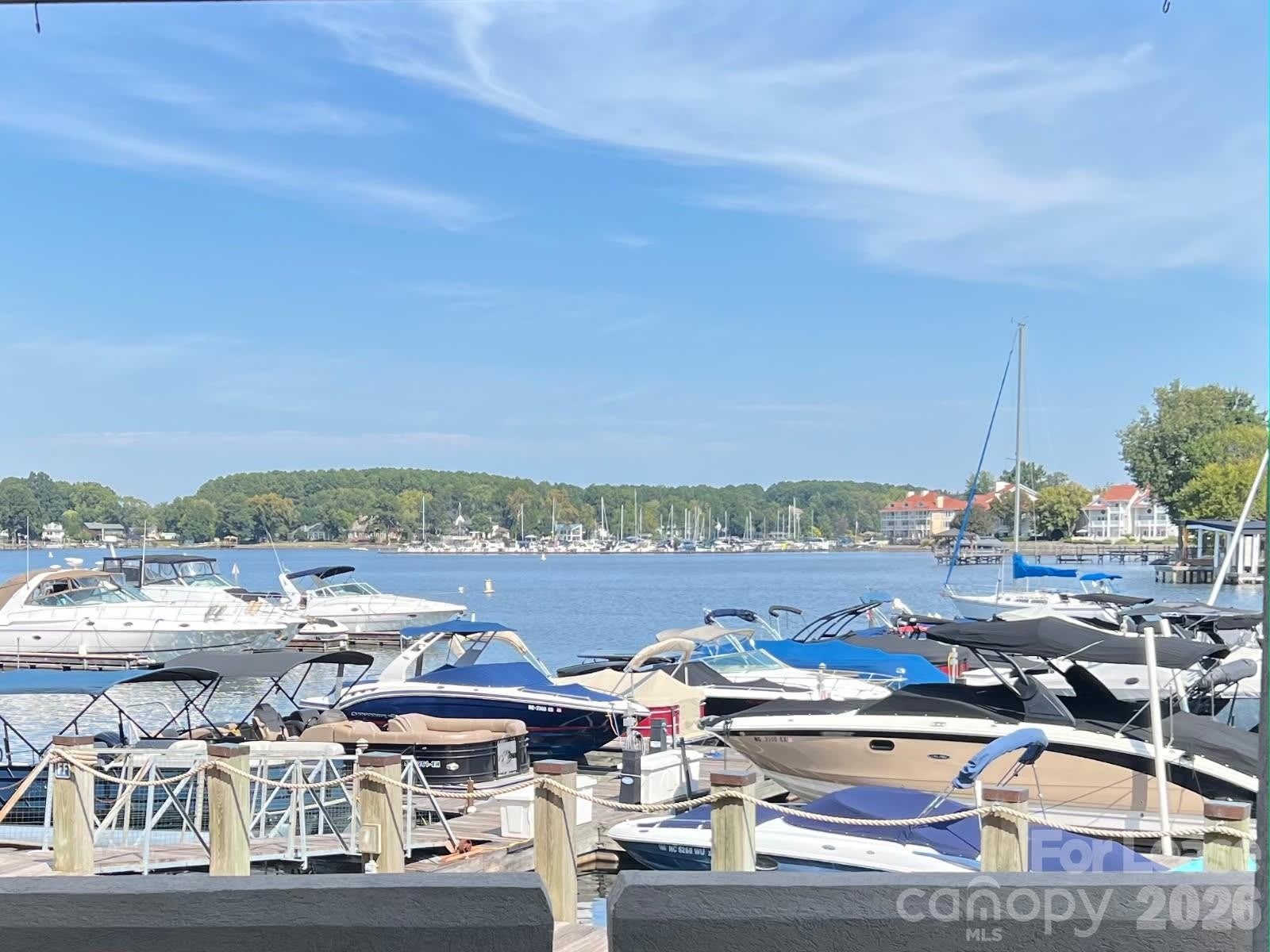 18629 Vineyard Point Lane – photo 2
