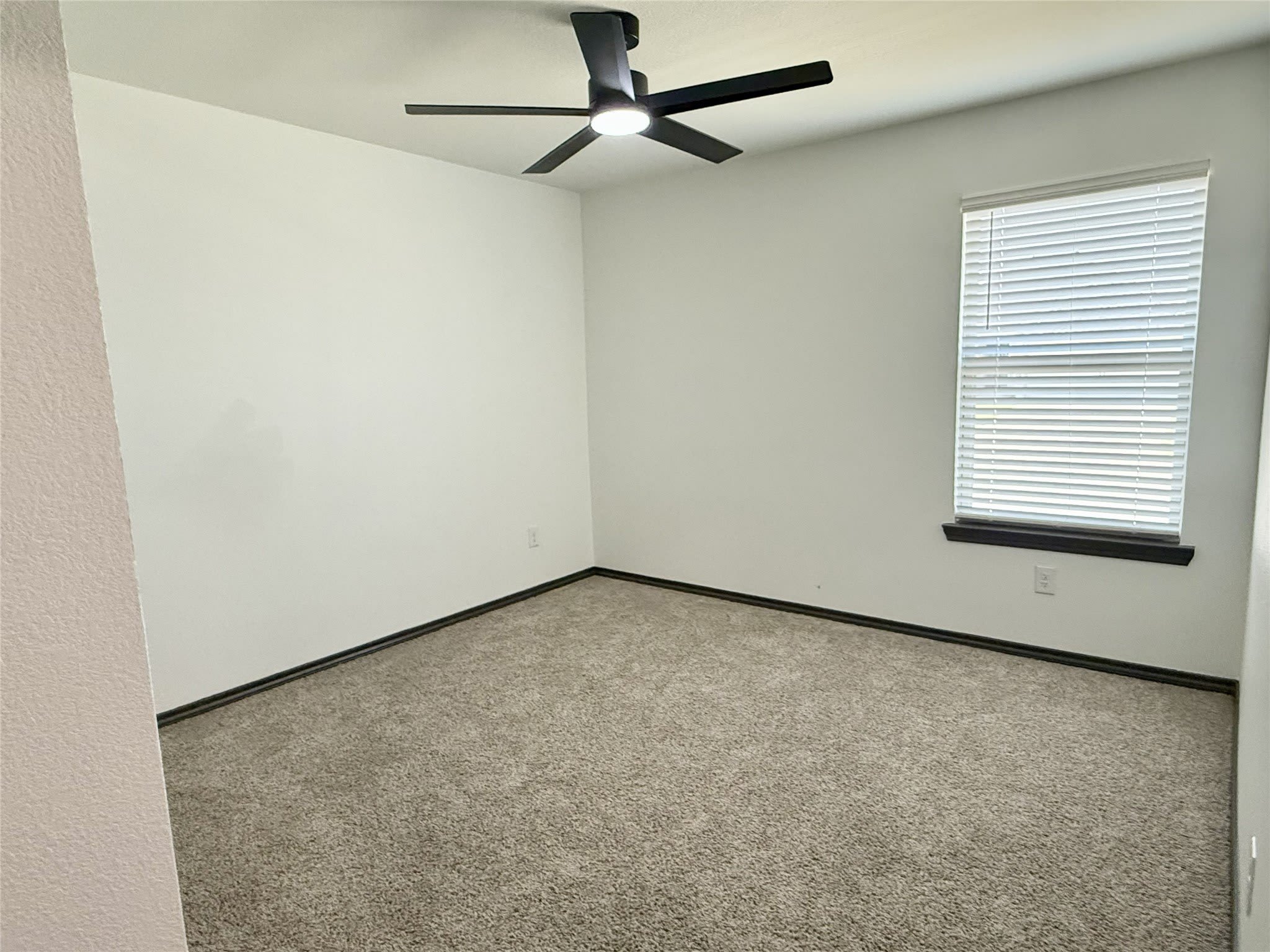 204 Marcell Lane – photo 3