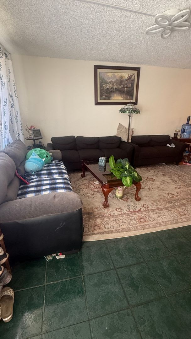 Charming 3BR TOWN HOUSE. in North hills – photo 3