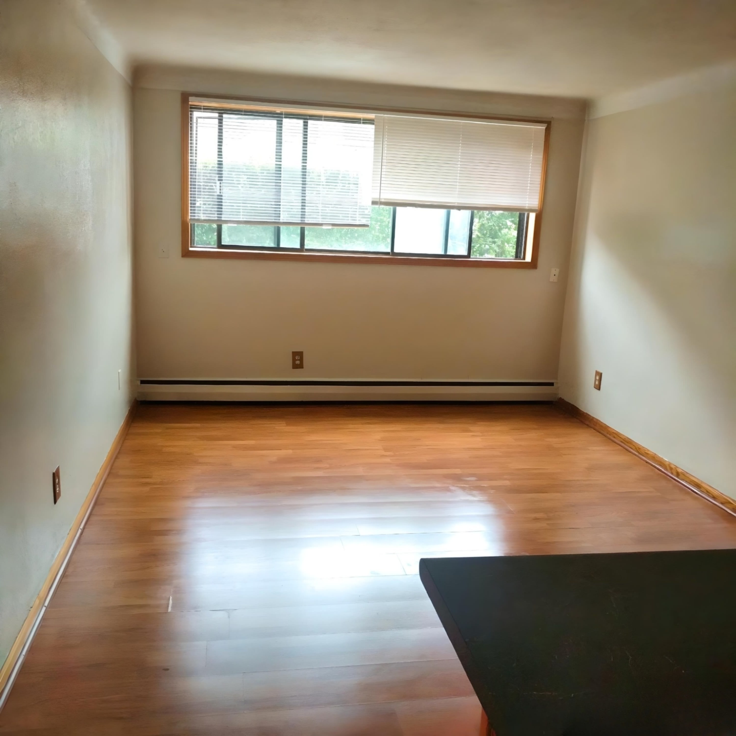 976 Robert Street – photo 2