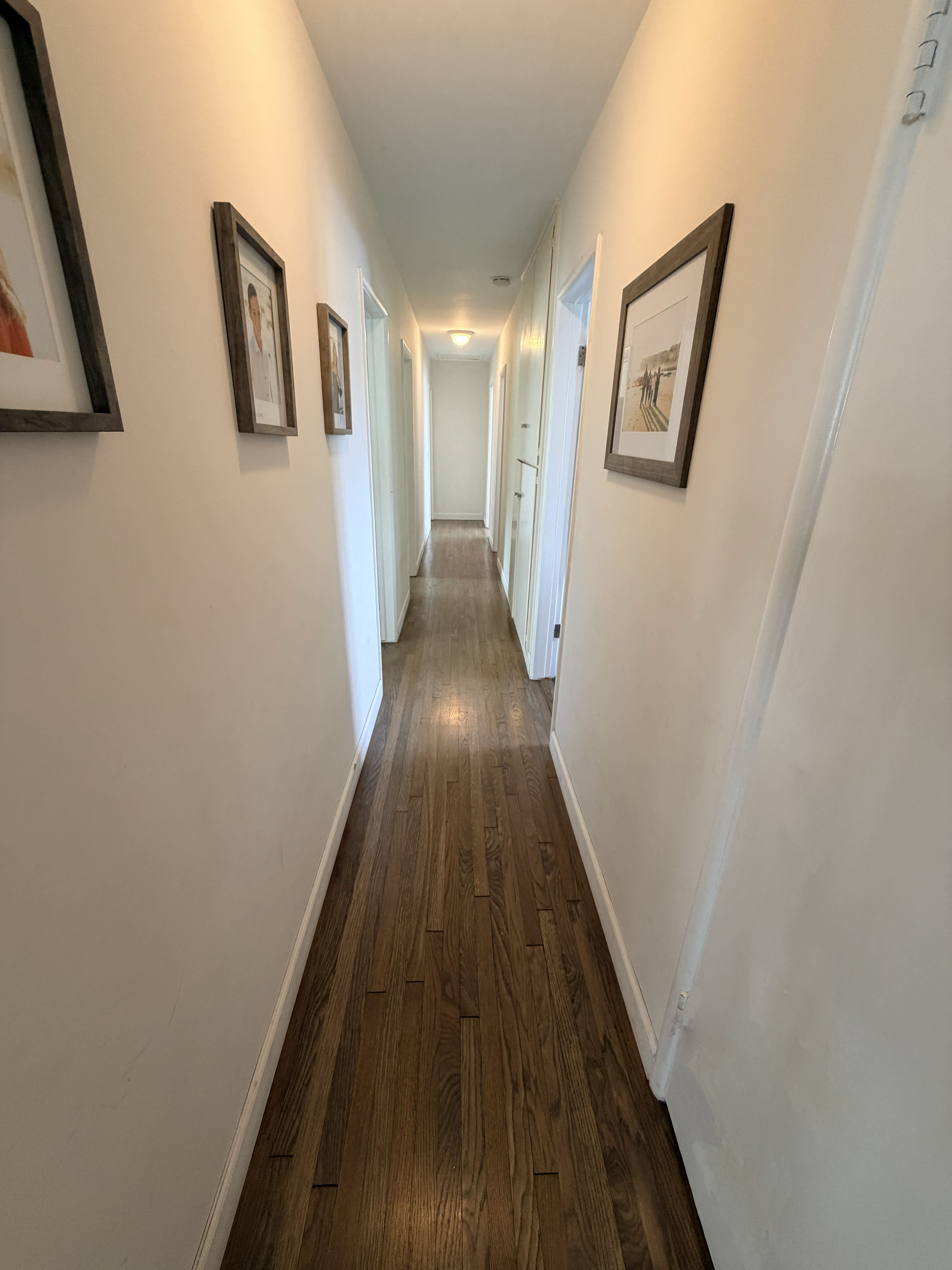 4387 Dauntless Drive – photo 5