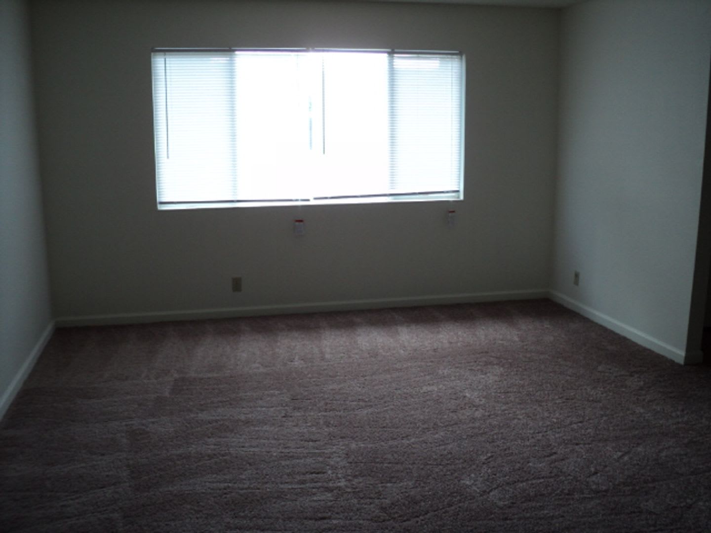 Spacious 4 bedroom – photo 4