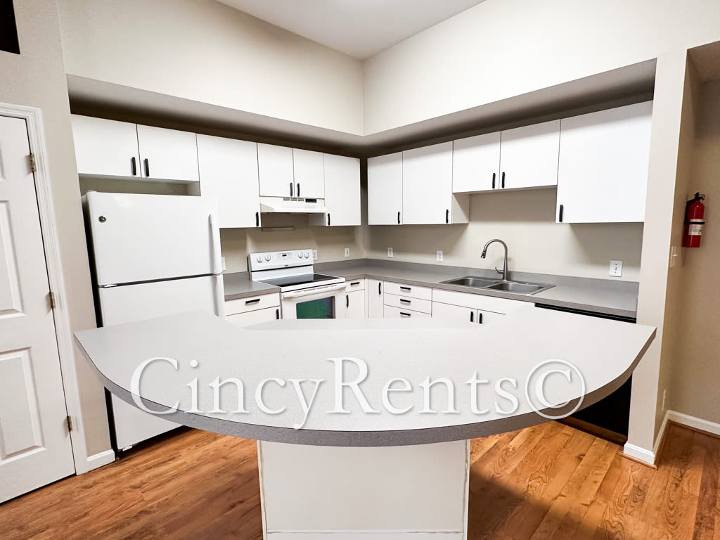 411 Clark St – photo 5