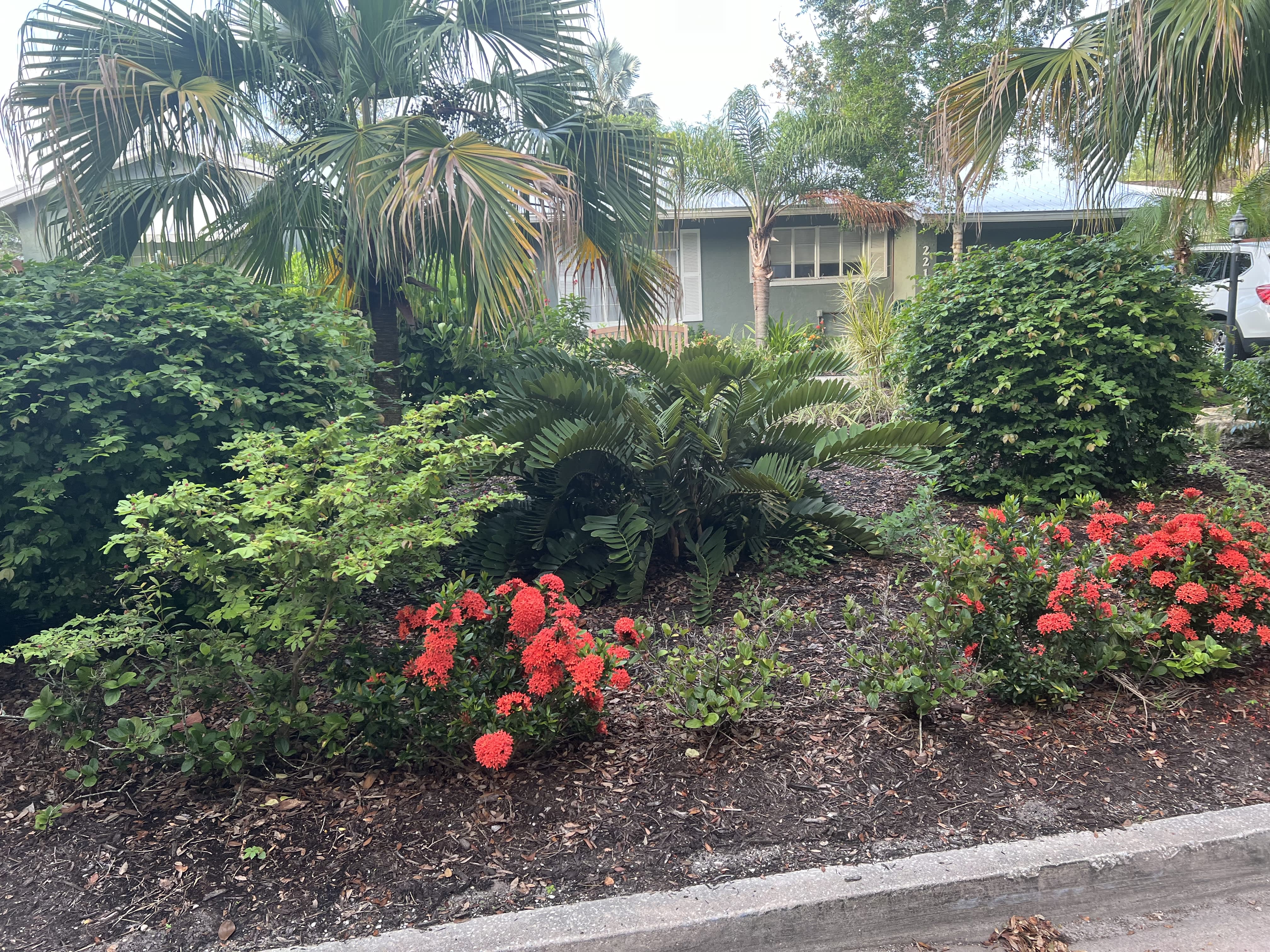 2216 Hibiscus St – photo 2