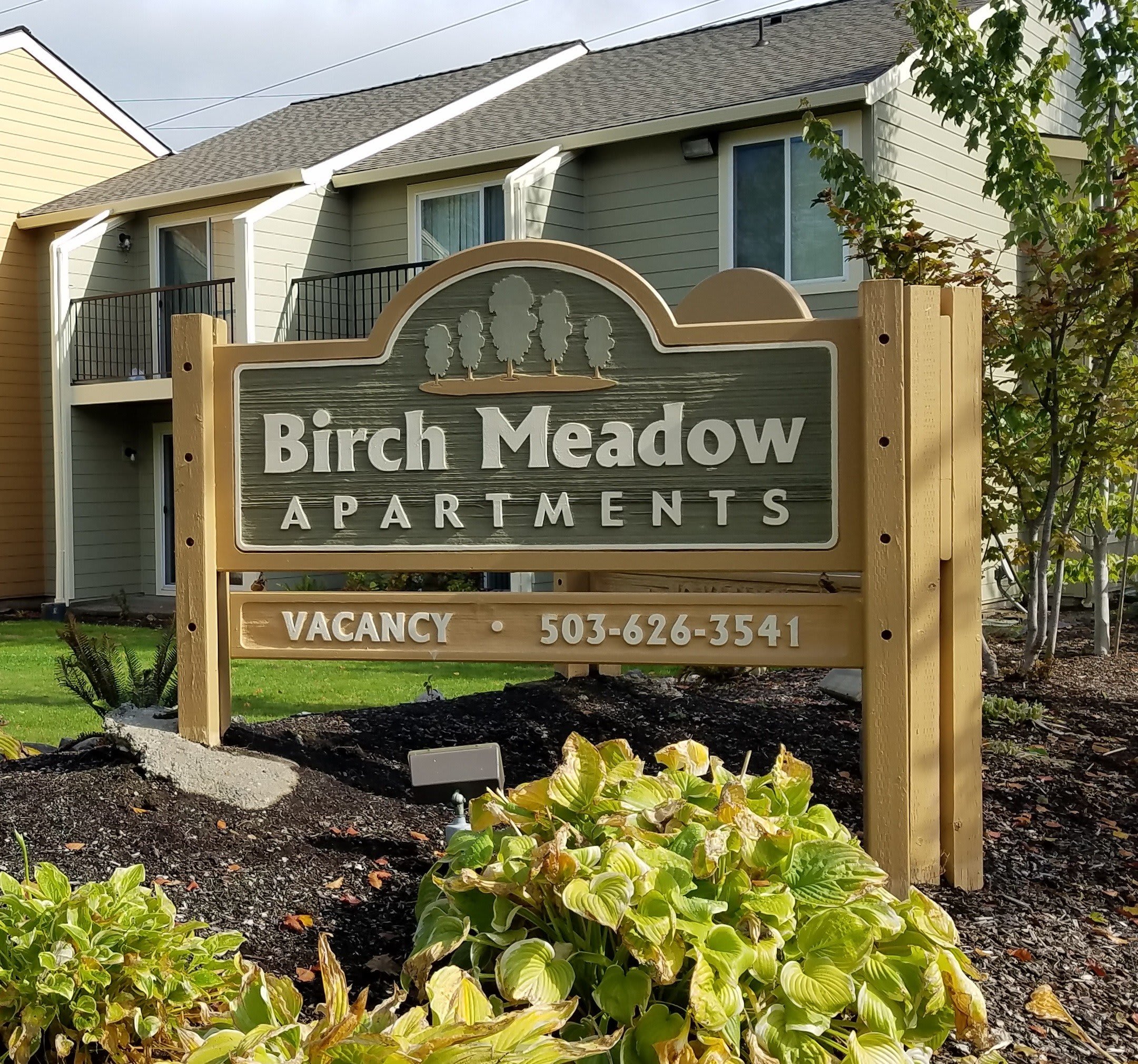 Birch Meadow – photo 1