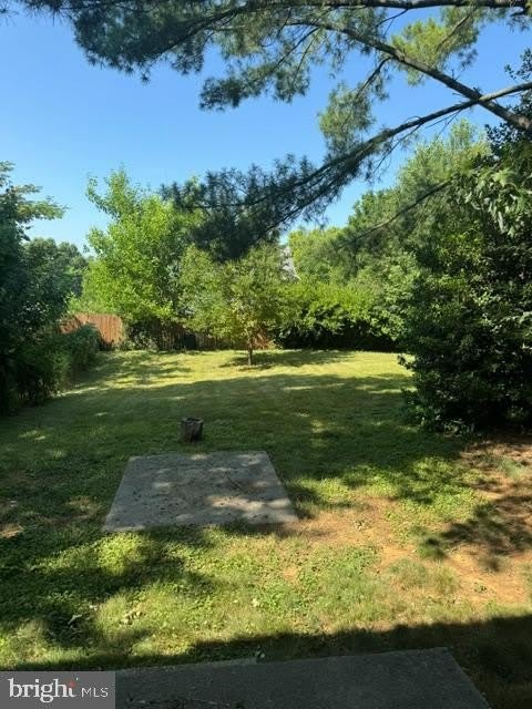 237 Cameron Street – photo 2