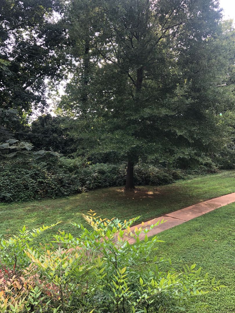 Greenville 2BD/1BA, 896SF – photo 1