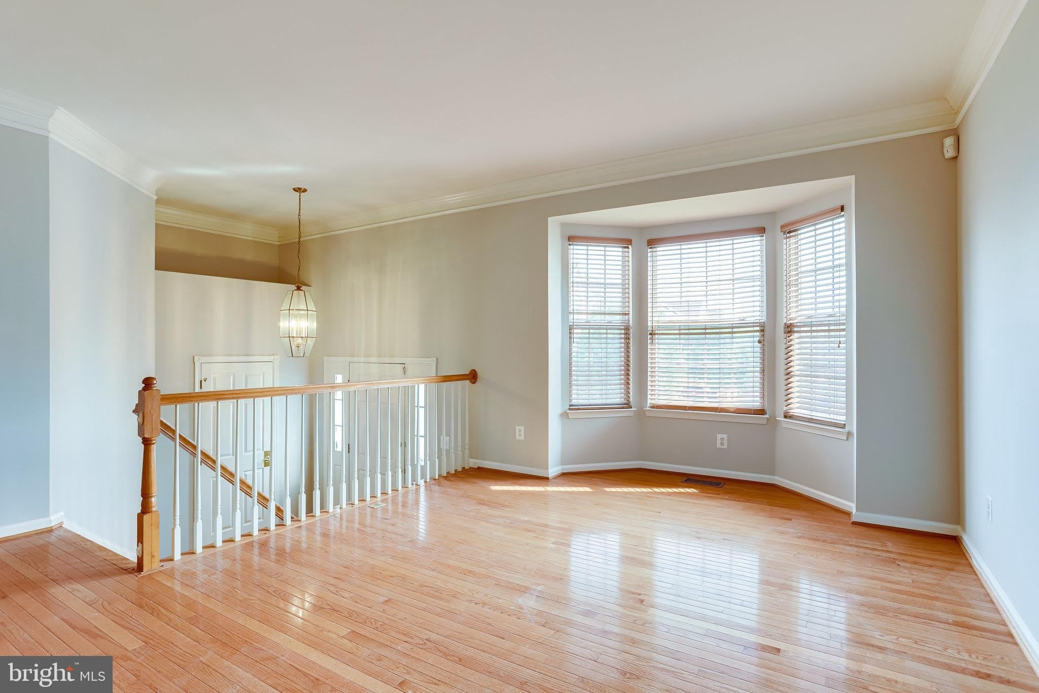43709 CLEMENS Terrace – photo 5