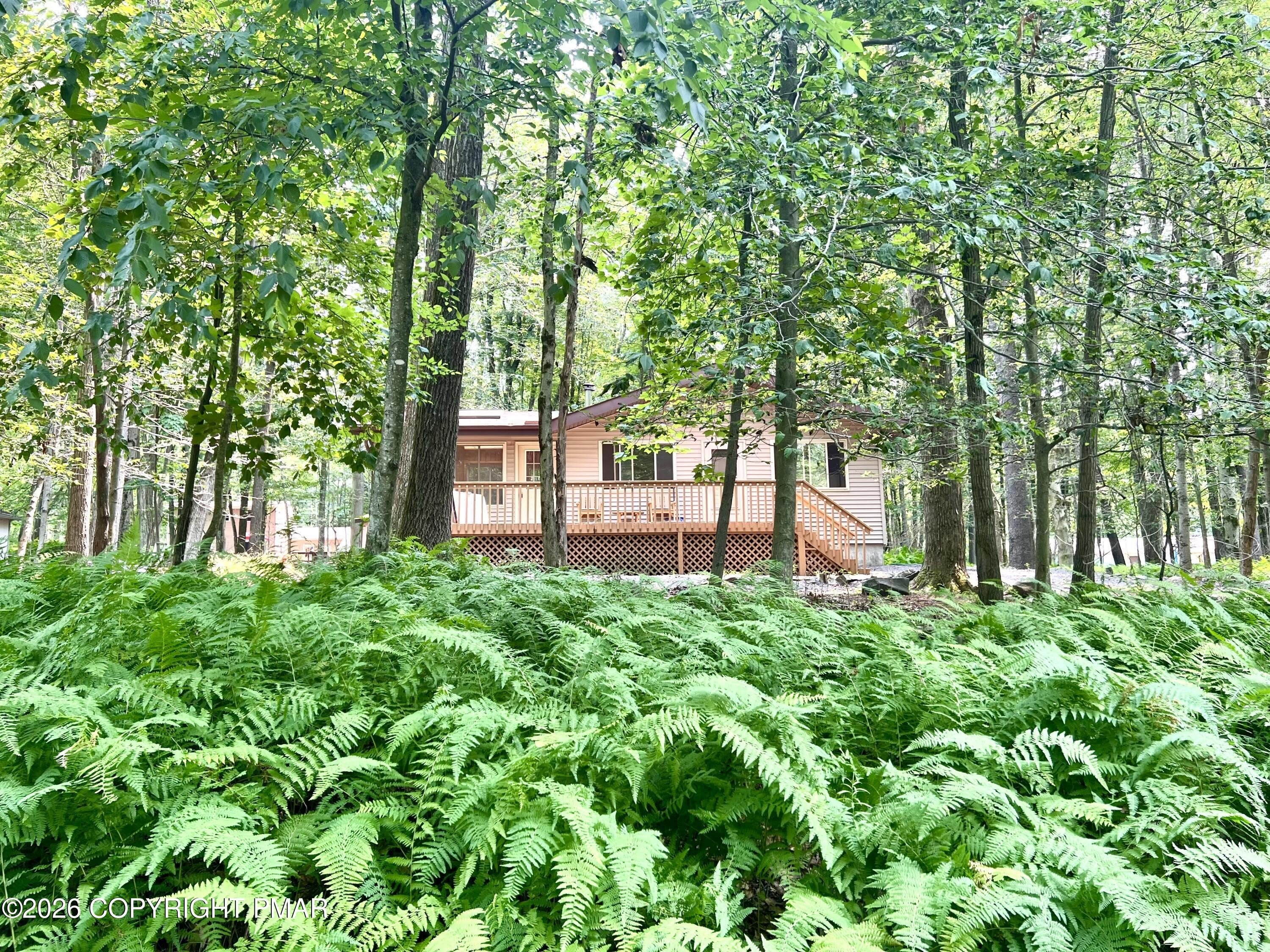 144 Beech Lane – photo 2