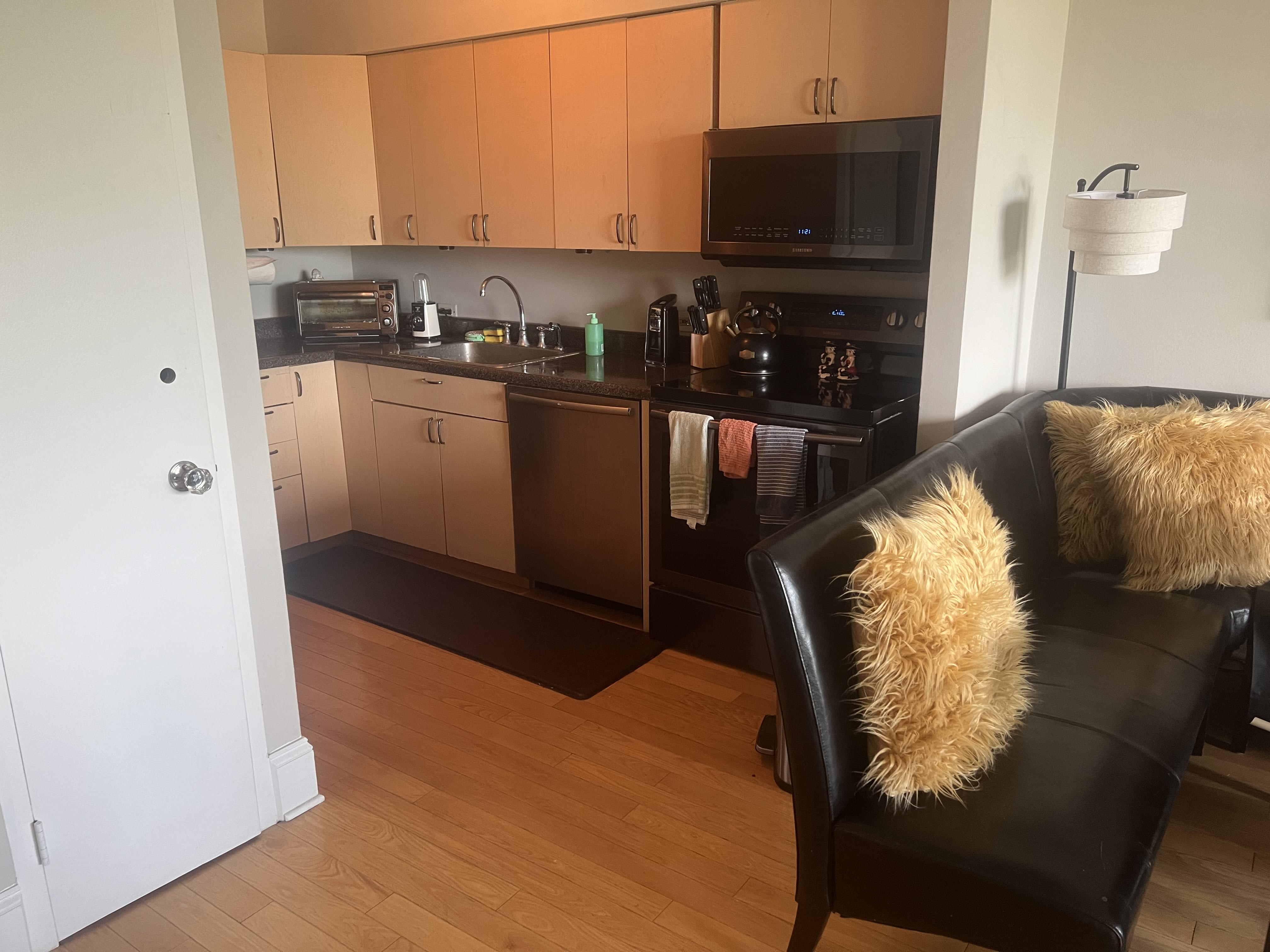 1550 North Lake Shore Drive – photo 4