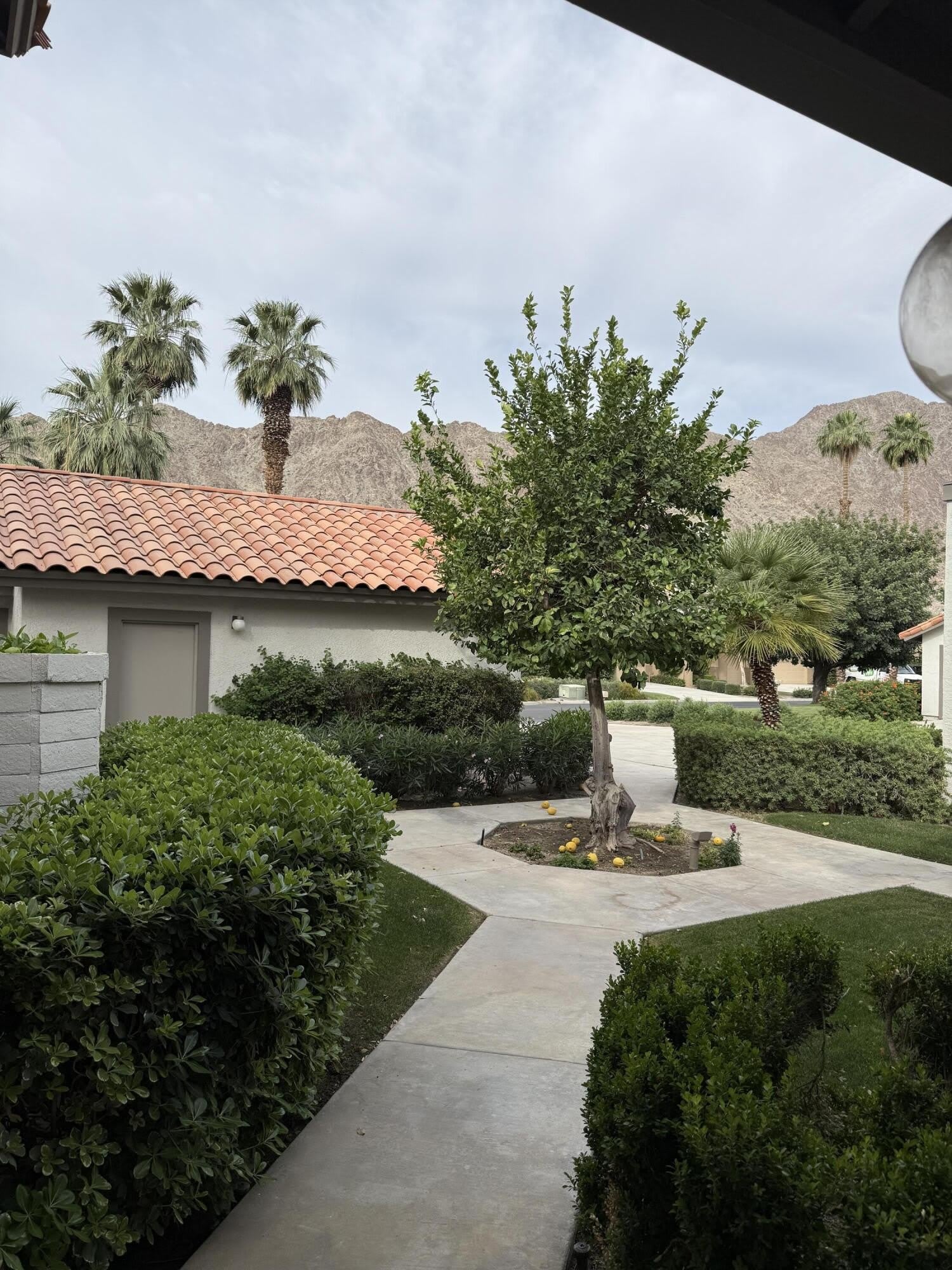 55456 Firestone – photo 1