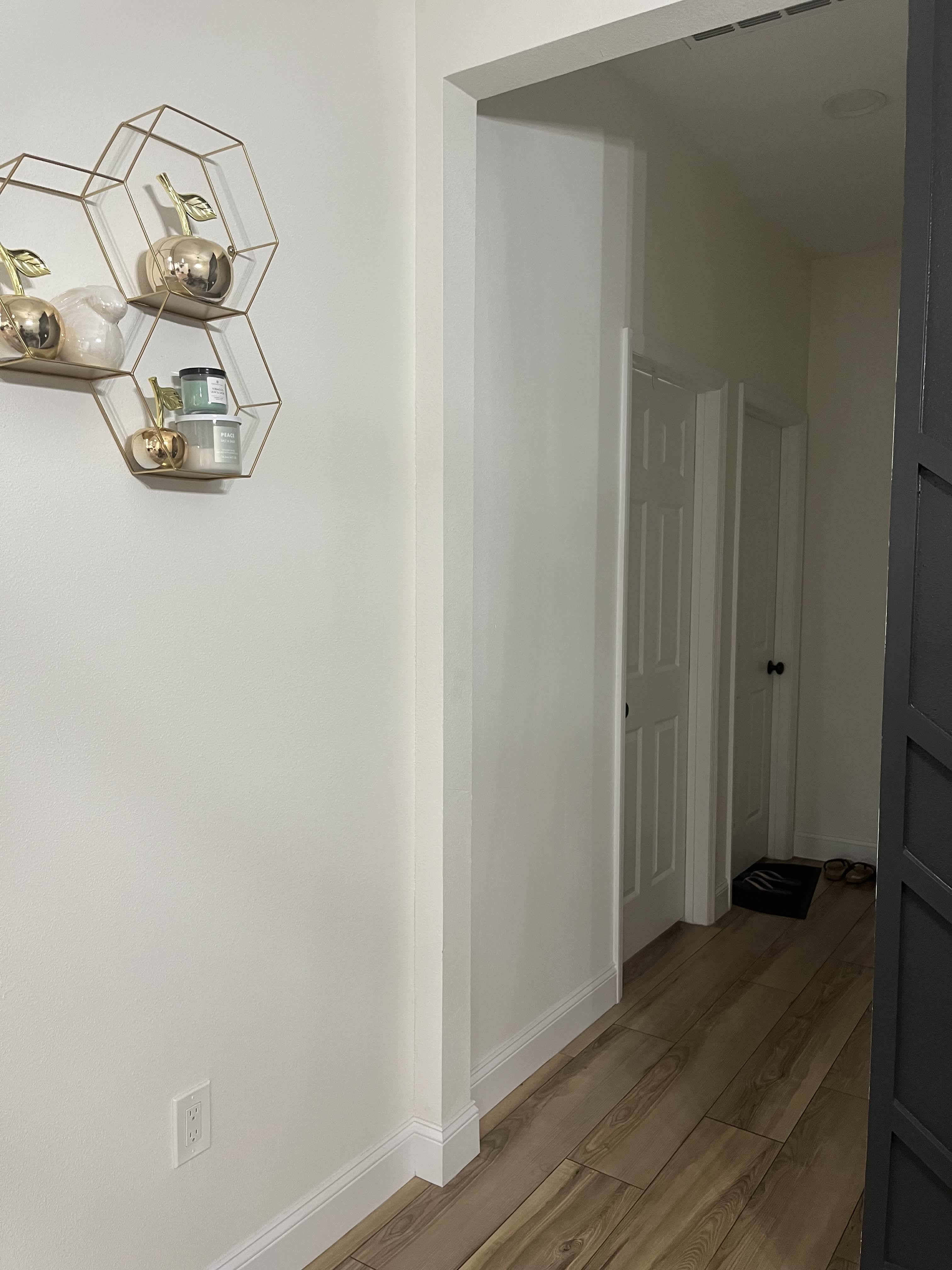 1817 East Eskimo Avenue – photo 5