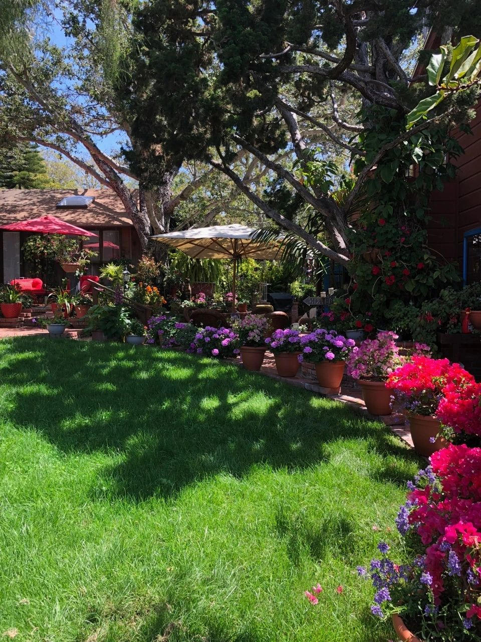 1504 Carmelita St – photo 2