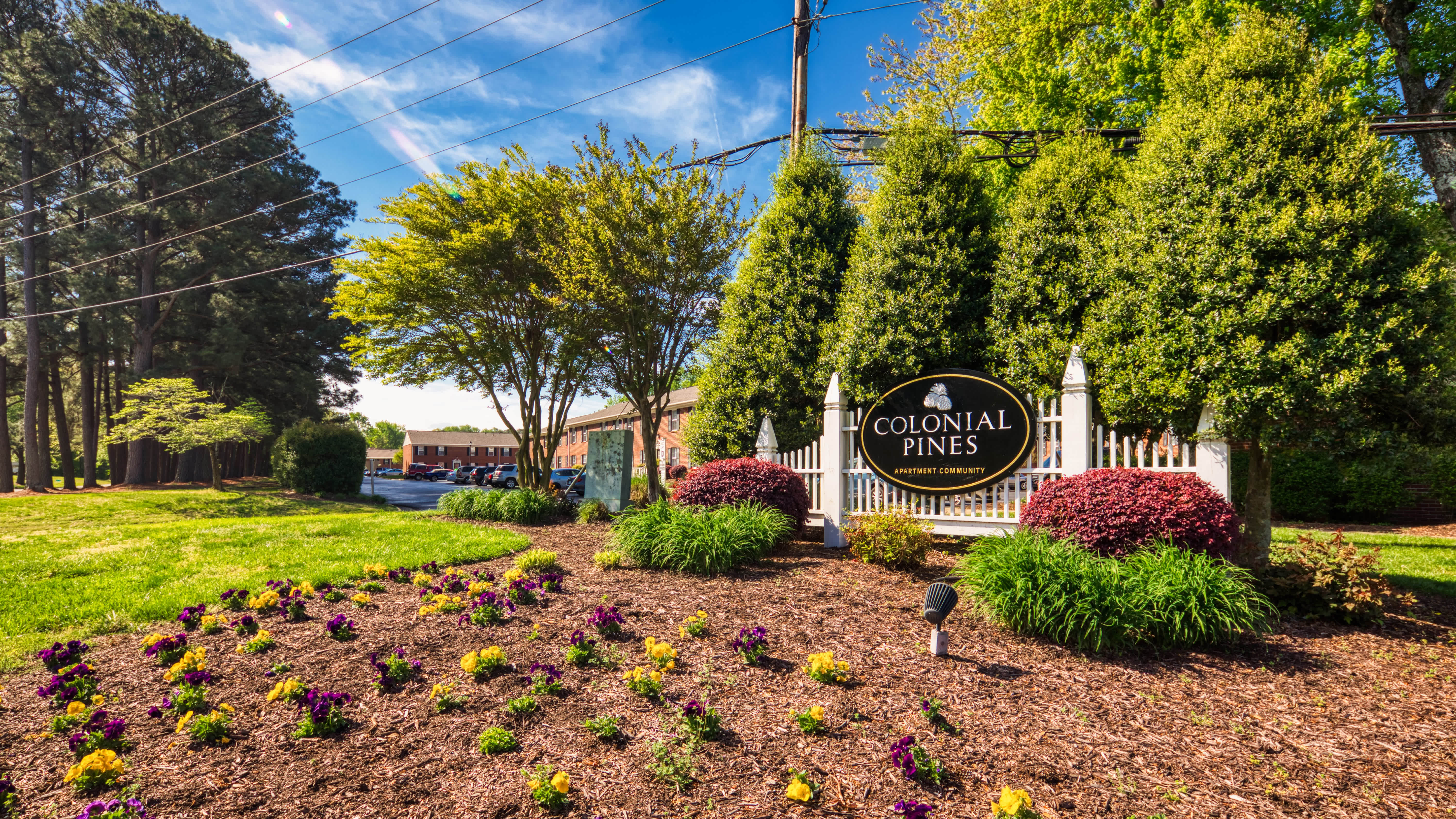 Colonial Pines – photo 2
