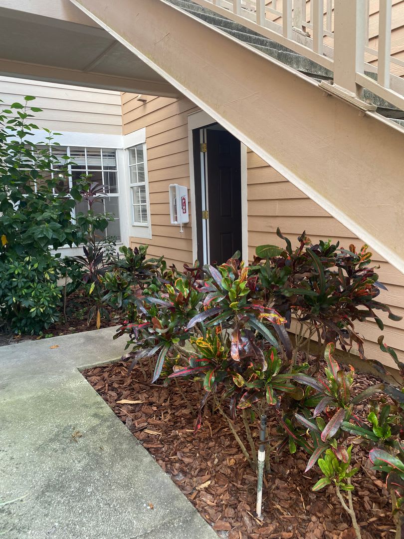 Gorgeous 3 bedroom 2 bath Will Not Last ( FIRST FLOOR ) – photo 5
