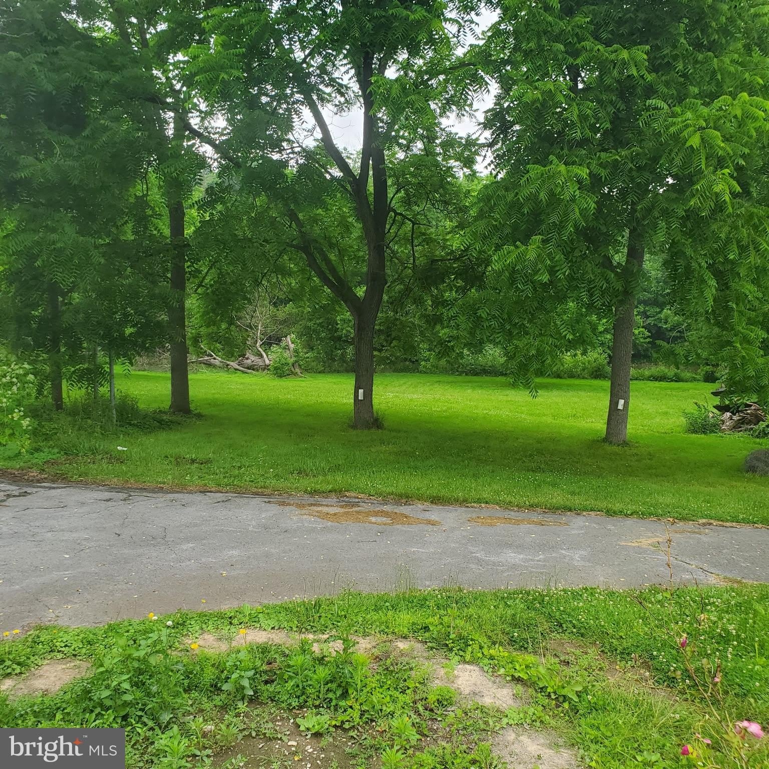 12512 STONE BRIDGE Drive – photo 4