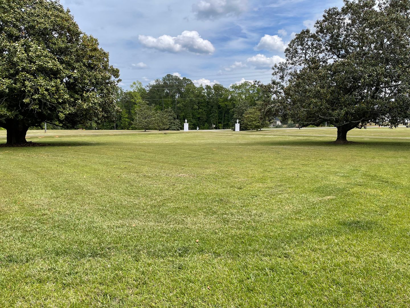 Stately Mansion on 17 Acres with Enormous Magnolia Trees – photo 3