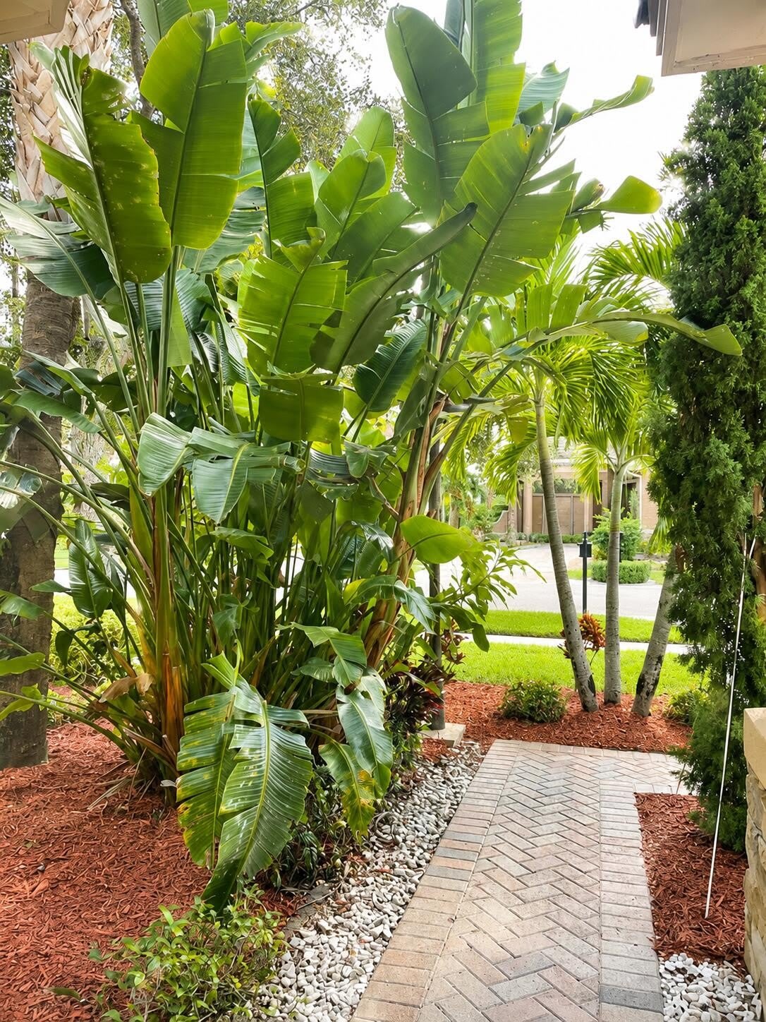 10341 Medicis Place – photo 4