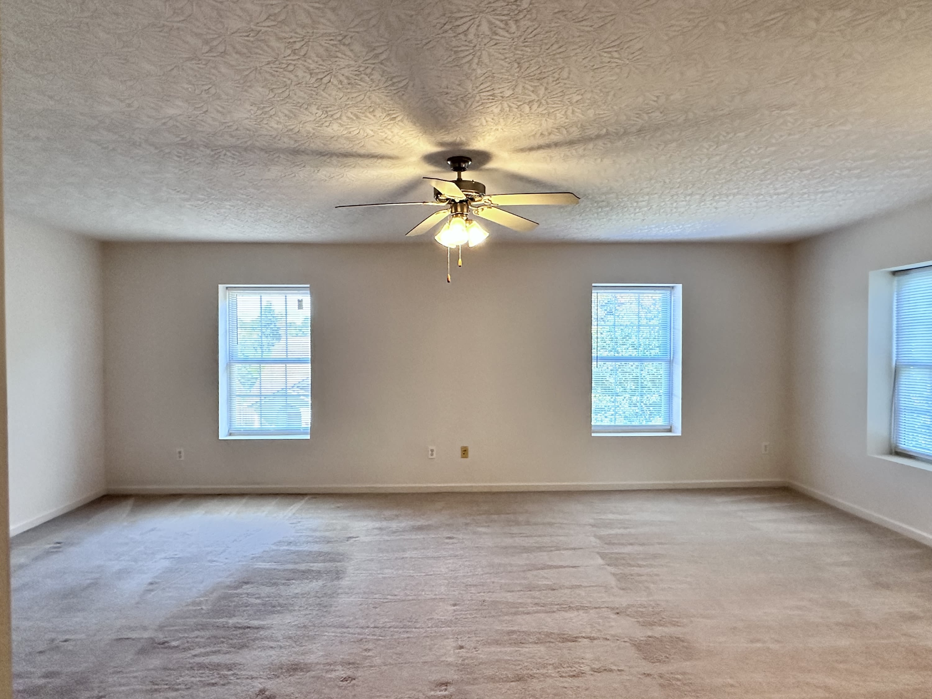 38 Rosette Lane #204 – photo 4
