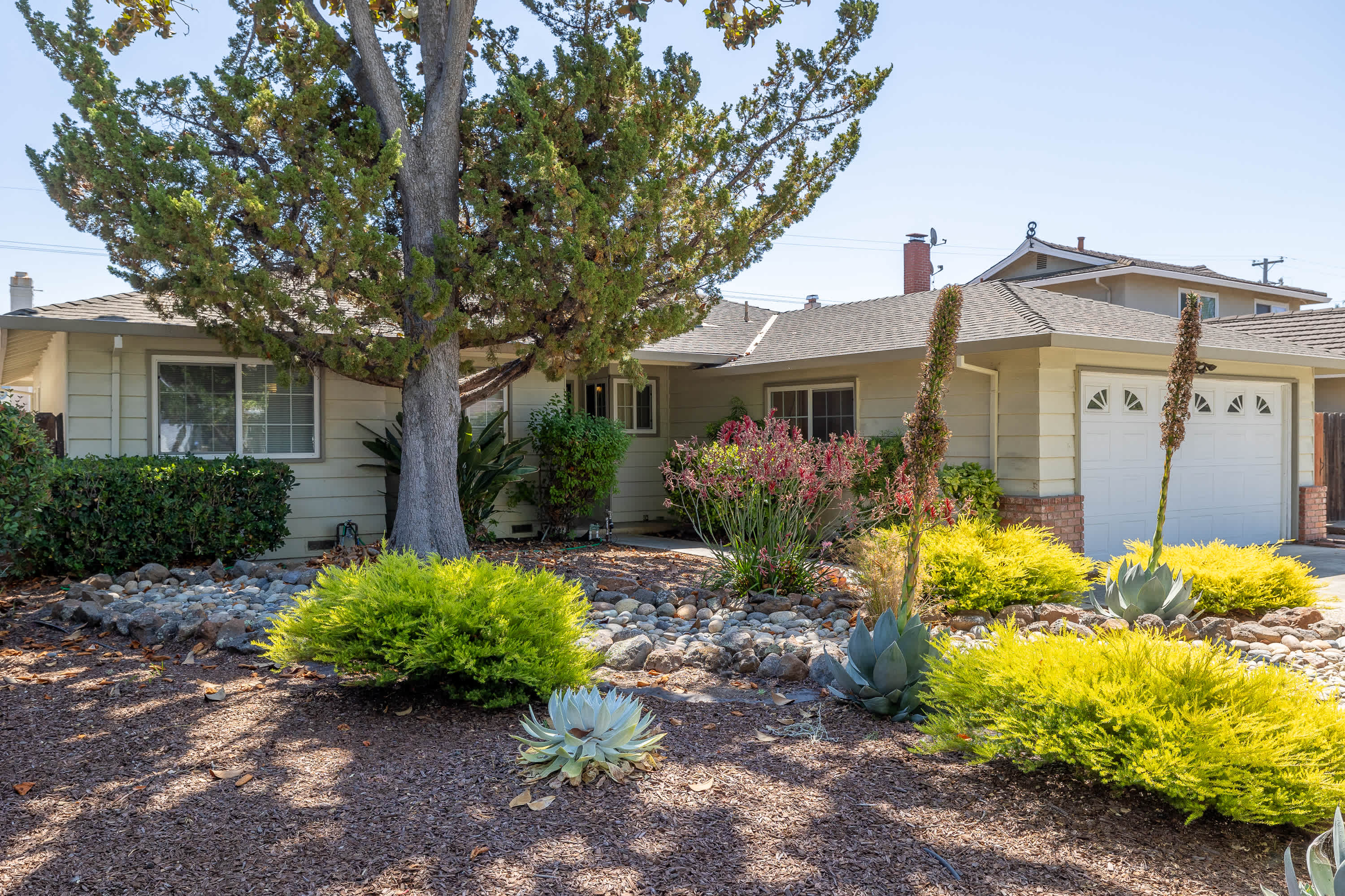 1416 Petal Way – photo 1