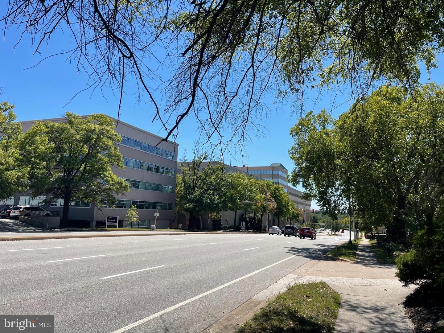 604 606 Bosley Ave Suite 2 A – photo 5