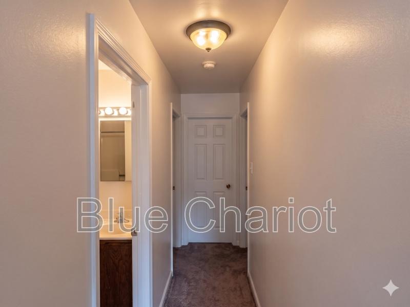 502 Raynor Street – photo 4