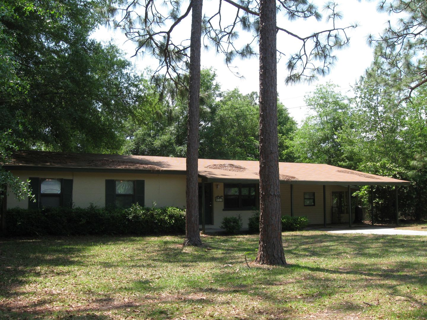 3 bedroom 1 bath house available September 1, 2026!! – photo 2