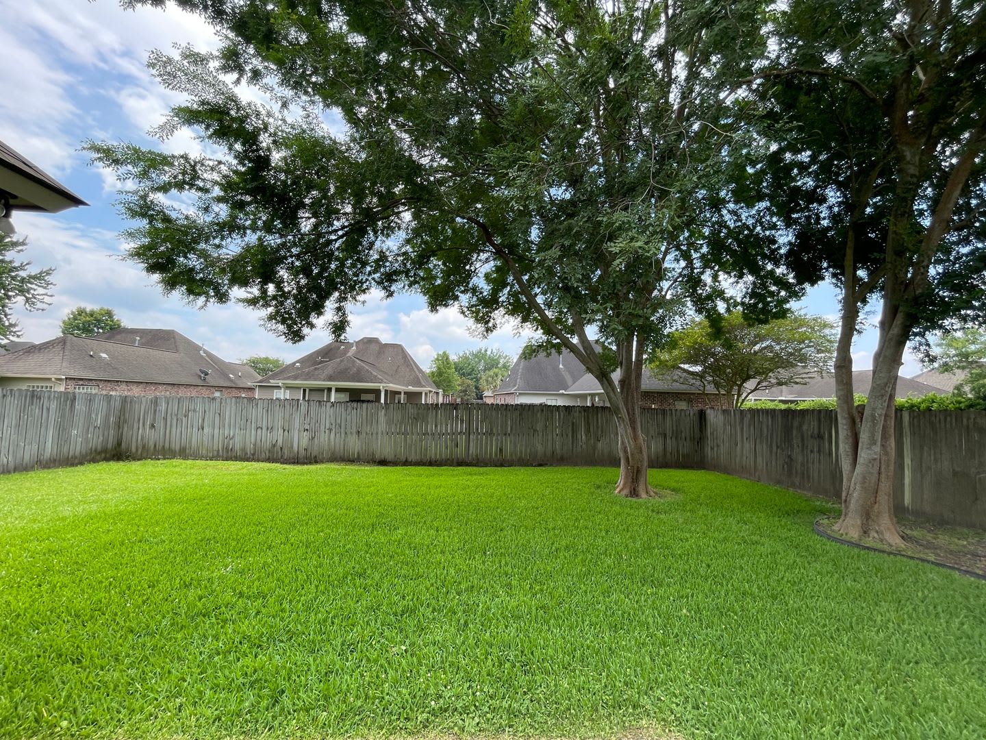 Beautiful 3 Bedroom Home in Springlake at Bluebonnet Highlands – photo 3