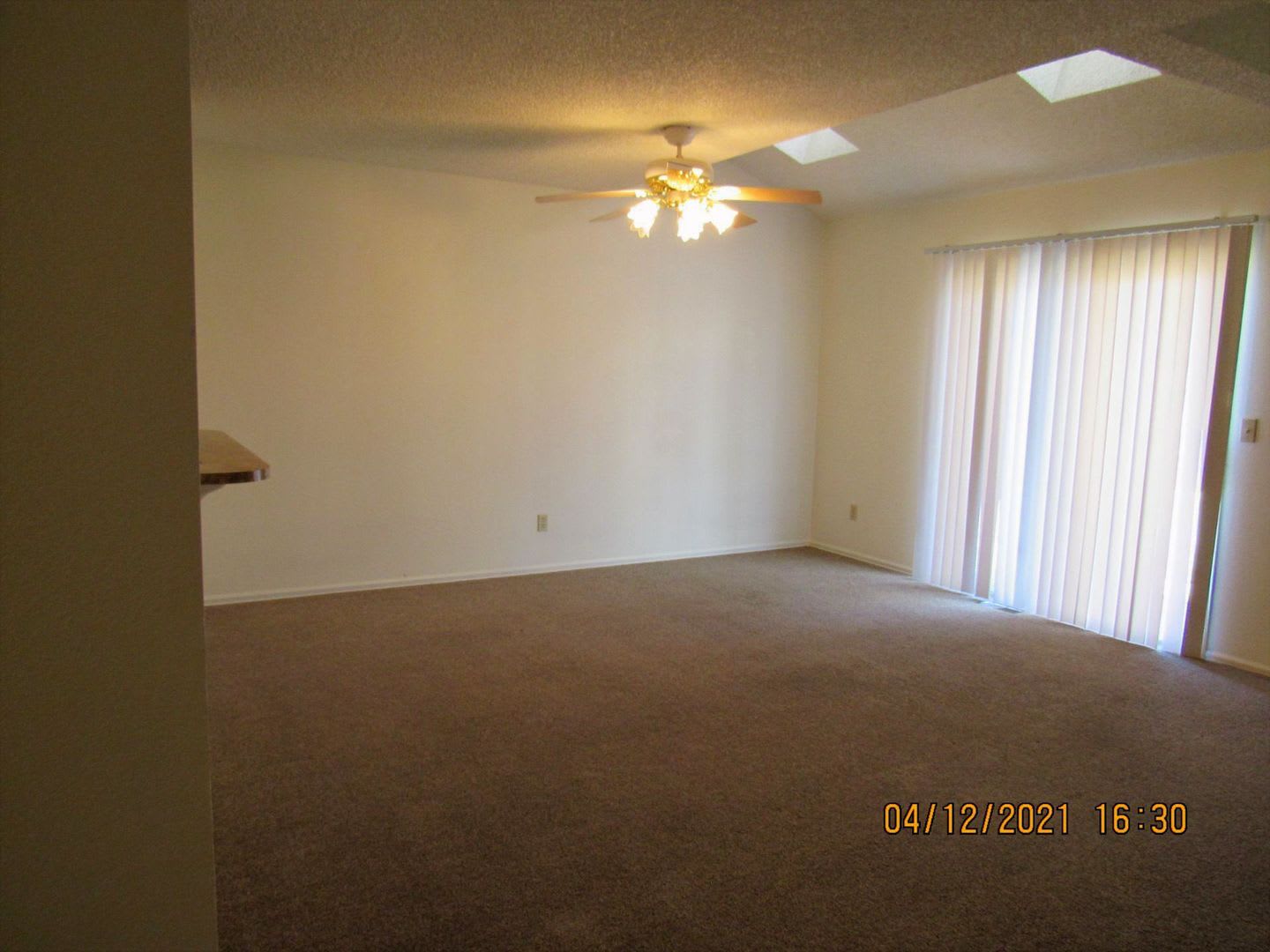 375 Wildrose Lane – photo 3