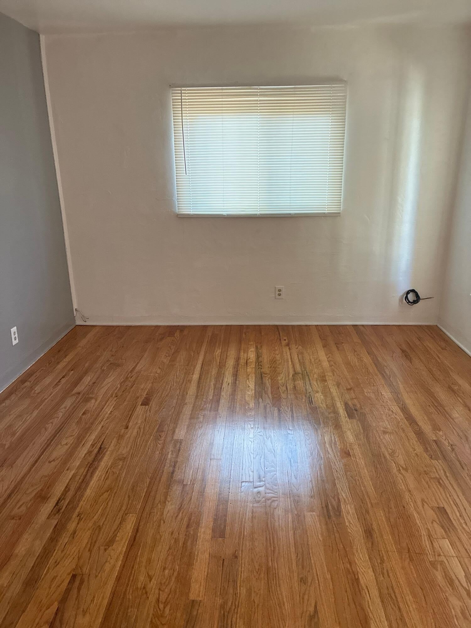 2842 Quincy Street NE – photo 5