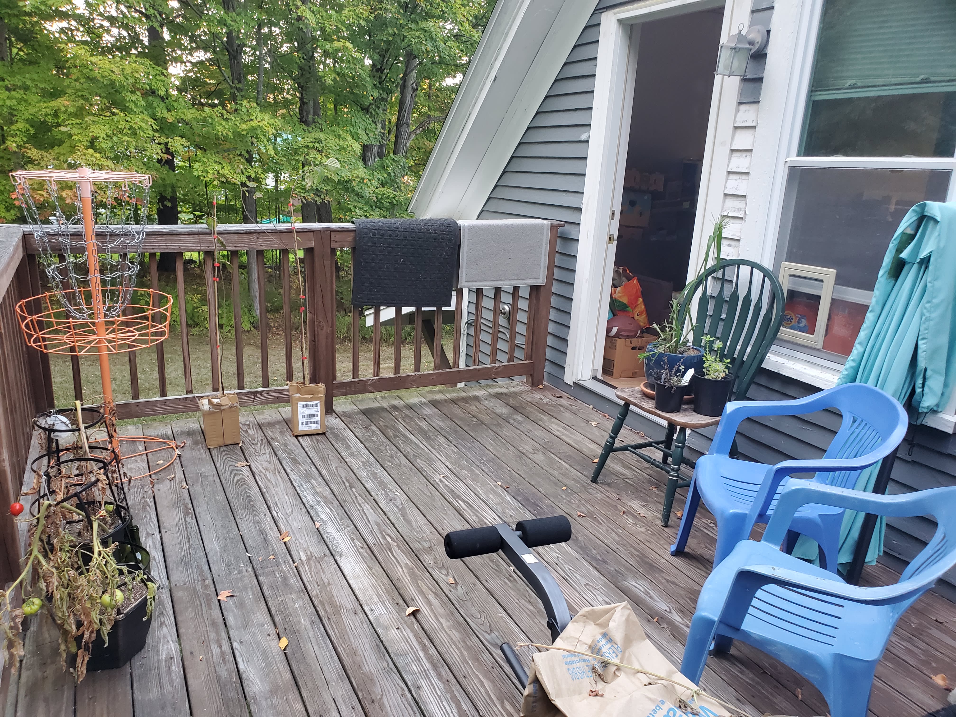 51 Maple Street – photo 3