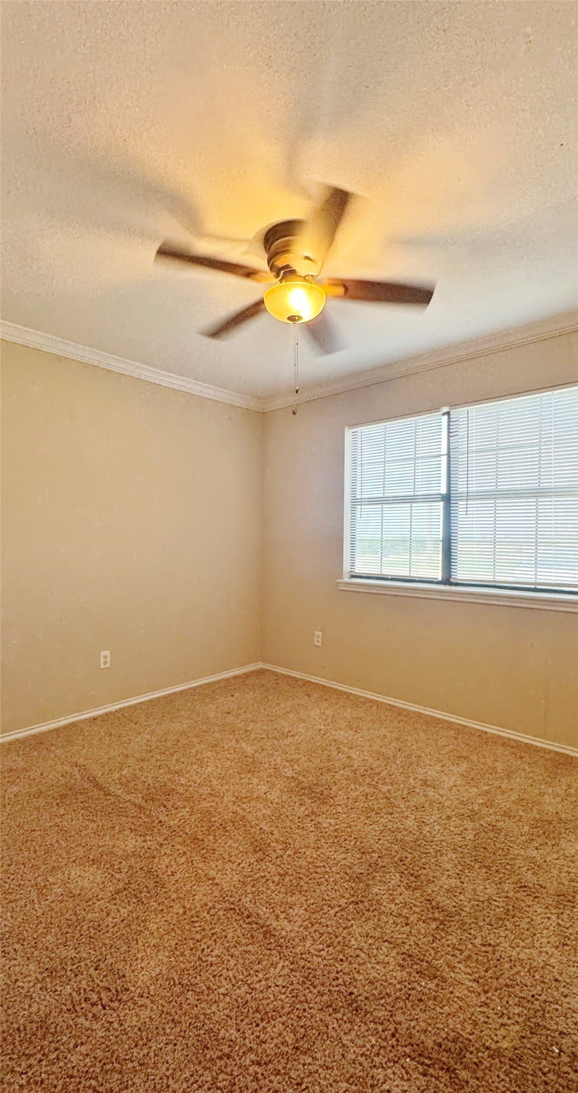 304 Boot Ranch Road – photo 3