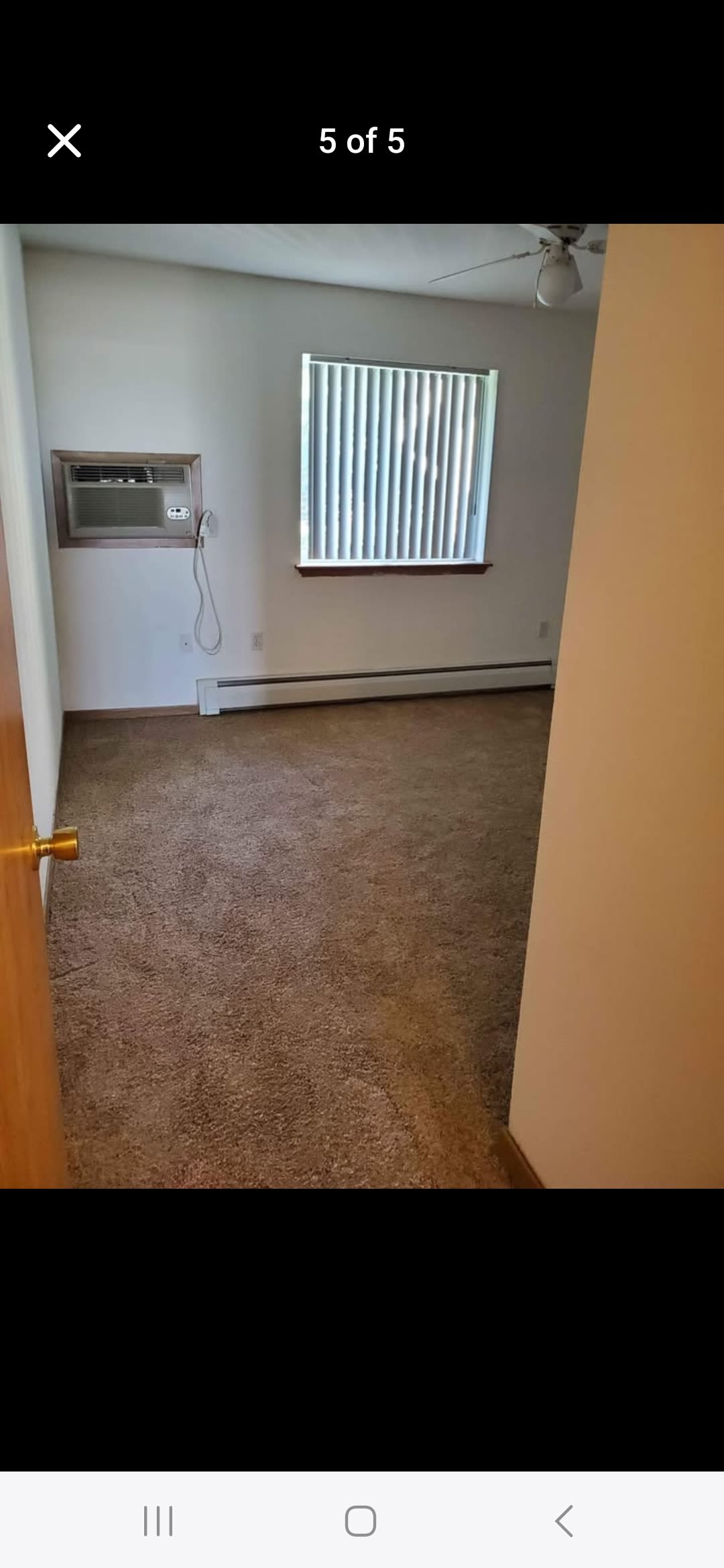 1422 Irish Drive Apt 4 – photo 4