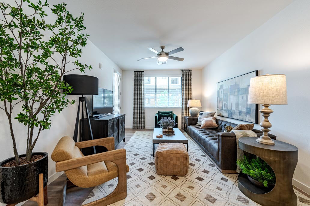 Solara Vista – photo 2