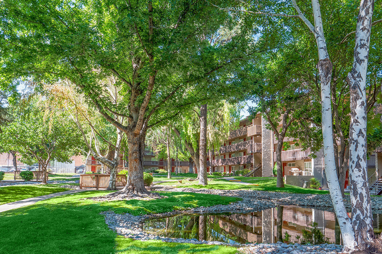 The Pearl at Spring Creek – photo 3