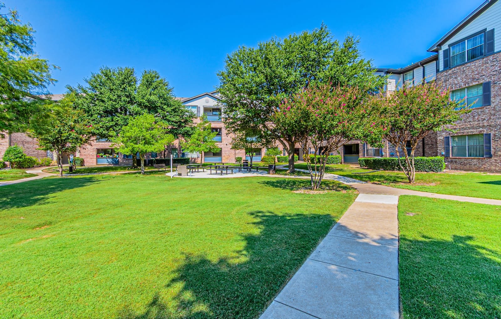 Senior Affordable Housing The Cesera 55 Apartments – photo 3