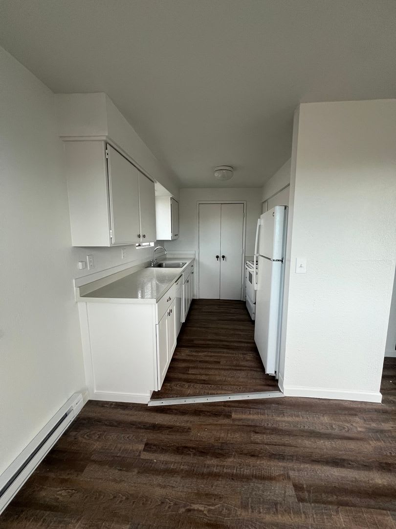 Newly Renovated – photo 4