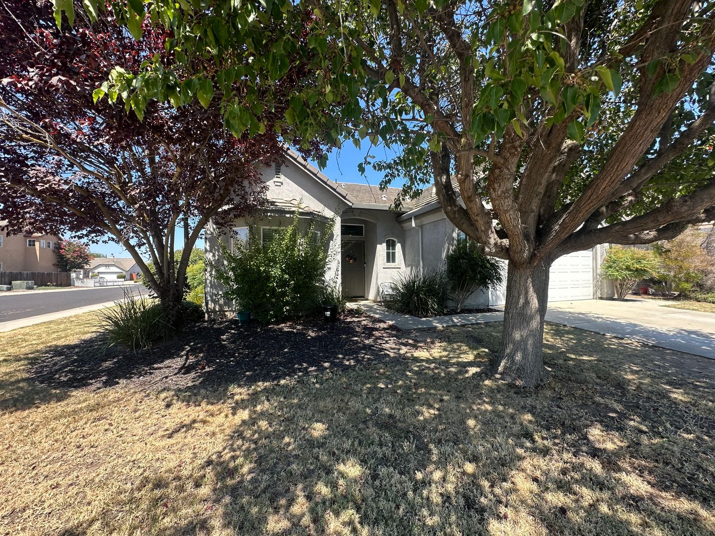 1989 Picadilly Way – photo 2