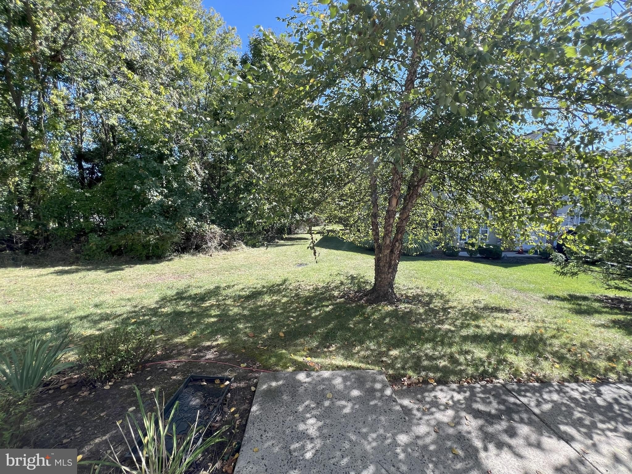 301 PARK Knoll – photo 4