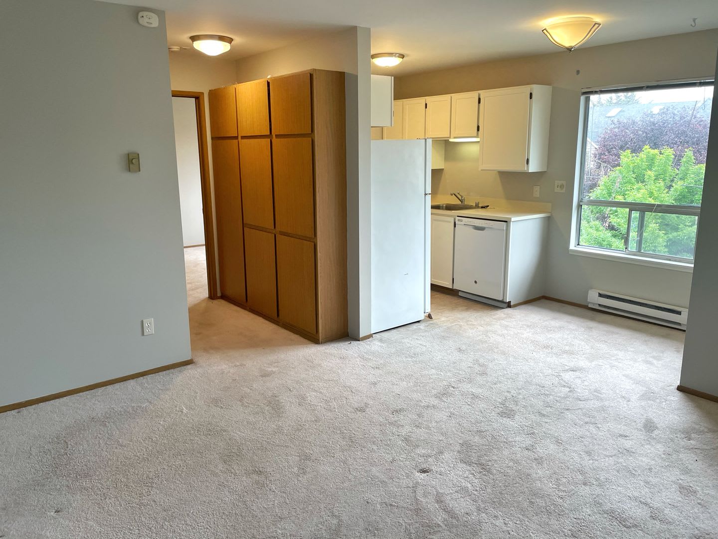 1538 JR 51ST LLC – photo 5