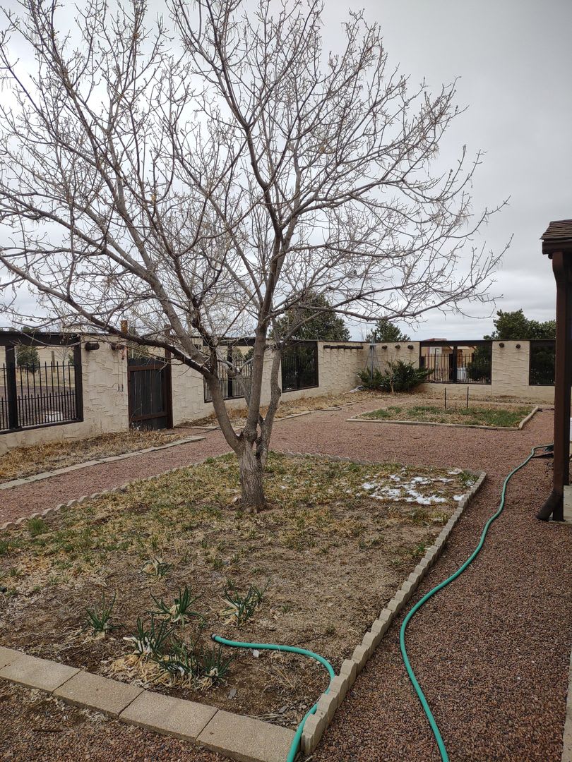 Ranch Style Home On 7 Acres – photo 2